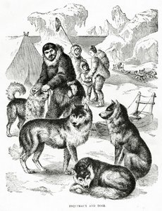 Eskimot ja koirat. 1902 (jäseniä) tekijältä Unbekannt