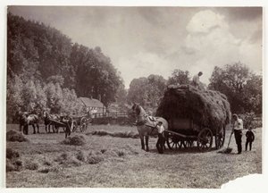 Maanviljelysnäkymät, sadonkorjuu ja varastointi, Heinänteko ennen vuotta 1900, c 1890 tekijältä Unbekannt