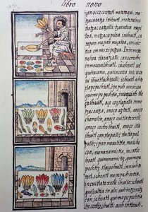 Höyhenkäsittely Espanjan valloituksen jälkeen, sivu Firenzen Codexista, kaksikielinen versio espanjaksi ja nahuatliksi, General History of Things of New Spain, espanjalainen lähetyssaarnaaja Fray Bernardino de Sahagun. Atsteekkien sivilisaatio tekijältä William M. Timlin