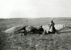 Ensimmäinen maailmansota 14-18 (1914-1918): kolme ranskalaista sotilasta hautaa kuolleen hevosen - valokuva lasilevylle - tekijältä Unbekannter Künstler