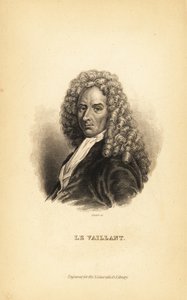 Francois le Vaillant tai Levaillant, ranskalainen kirjailija, tutkimusmatkailija, luonnontieteilijä ja ornitologi tekijältä Unbekannt