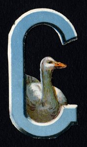 G kuten Goose. Beetle decoupis eläinten teemalla. Kaiverrus. Englanninkielisen 26 vohvelikromolitografian sarja. Toimittaja ja kuvittaja tuntematon. 1800-luvun loppu. Mitat: 5,5 x 3,5 cm tekijältä Unbekannt