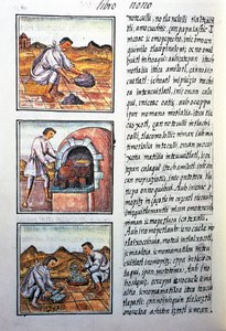 Kullankäsittely espanjaksi, teksti nahuatiksi, faksimilesta Bernardino de Sahagunin käsikirjoituksesta General History of Things of New Spain, joka tunnetaan myös nimellä Florentine Codex tekijältä Benjamin Baud
