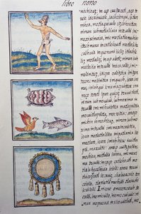 Goldsmith, sivu Firenzen Codexista, kaksikielinen versio espanjaksi ja nahuatl, General History of the Things of New Spain, espanjalainen lähetyssaarnaaja Fray Bernardino de Sahagun (1499-1590). Atsteekkien sivilisaatio tekijältä William M. Timlin