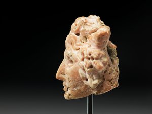 Medusan pää, Baktriasta tai Gandharasta, 2.-1. vuosisadalta eKr. (vaaleanpunainen koralli) tekijältä Unbekannt