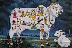 Hindumaalaus. Pyhä lehmä ja vasikka. Intia tekijältä Unbekannt