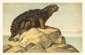 Hylaeosaurus armatus, sukupuuttoon kuollut kasvinsyöjä ankylosaurian dinosaurus 1908 (litografia) tekijältä Unbekannter Künstler