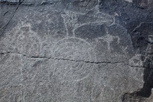 Intialaiset petoglyfit - Eläinten ja symbolien esitykset - Petroglyph National Monument - Albuquerque, New Mexico, USA (USA) tekijältä William M. Timlin