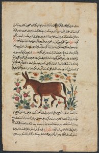 Muut (löydöt), Shahmarda Ibn Abi al-Khairin nezhantami-näyttelijöistä (erinomainen kirja saapumisesta) tekijältä Unbekannt