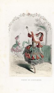 La fee de la fleur de grenade danse - Charles Geoffroyn (1819-1882) etsaus Jean Ignace Isidore Gerard dit J.J.J.J.Granvillen (1803-1847) Les fleurs animees -teokseen tekemän kuvituksen pohjalta. tekijältä Unbekannter Künstler
