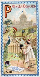 P-kirjain: palatsi, paviljonki, sateenvarjo, valokuvaaja, silta, kalastus, riikinkukko, pensee. Chocolat Suchardin toimittama aakkosten kaiverrus, 1900-luvun alku. 24 kromolitografiaa, jotka edustavat paikkoja, hahmoja ja esineitä, joista löydetään tekijältä Unbekannt
