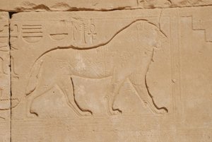 Leijonaveisto, Karnak, Luxor, Egypti (kuva) tekijältä Unbekannt