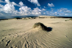 Liettua, Klaipeda, Kuurin kynnäs, Nida, liikkuvat hiekkadyynit nimeltä Preussian Sahara tekijältä William M. Timlin