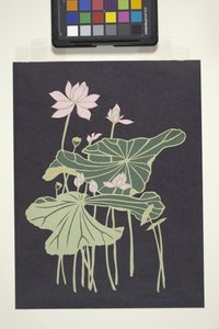 Lotus (monivärinen leikattu paperi) tekijältä Unbekannter Künstler