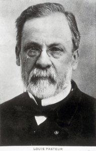 Louis Pasteur, ranskalainen kemisti ja mikrobiologi, noin 1885. tekijältä Unbekannter Künstler
