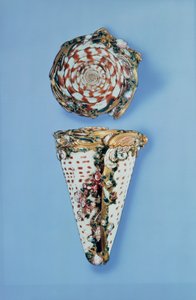 Ludvig XV:n kultaiset nuuskalaatikot kuorien muodossa, kirjoittanut B.Sagaret, Pariisi (1715-74) tekijältä Unbekannt