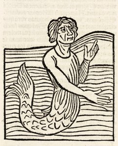 Merman tekijältä Unbekannt