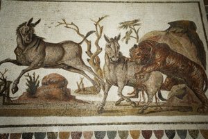 Mosaiikki eläintaisteluista: tiikeri hyökkää kahden yö-alkoisen kimppuun. II s AD / Musee d