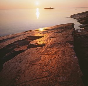 Onego kalliopiirrokset, jotka kuvaavat joutsenia (kuva) tekijältä Unbekannt