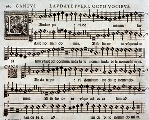 Thomas Luis de Victorian Laudate Pueri Psalmin musiikillinen partituuri sivu 8 äänellä tekijältä Unbekannter Künstler