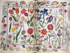 Sivuja Philipp Hainhoferin albumilta Amicorum, 1596-1633 tekijältä Unbekannt