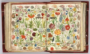 Sivuja Philipp Hainhoferin albumilta Amicorum, 1596-1633 tekijältä Unbekannt