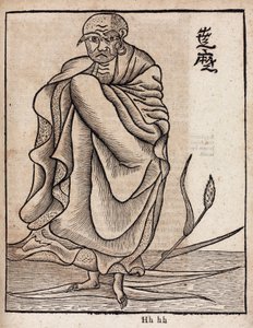 Bodhidharman muotokuva (v tekijältä Unbekannt