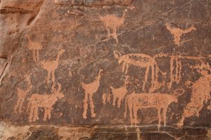 Kalliotaide, esihistoria: Yksityiskohta kaiverruksesta strutseista ja nautaeläimistä Uweinatin vuoristossa, Egyptissä (kausi 8000–3000 vuotta eKr.). Valokuvaus tekijältä Unbekannt