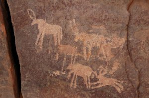 Kalliotaide, esihistoria: Kaiverrus antilooppeista ja koirasta (alhaalla oikealla) Uweinatin vuoristossa, Egyptissä. (Ajanjakso 8000-3000 vuotta eKr.). Valokuvaus tekijältä Unbekannt
