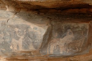 Kalliotaide, esihistoria: Kaiverrus kolmesta karjasta Uweinatin ylängöllä, Sudanissa (Karkur-Talh tai Karkur Talh). Ajanjakso 8000-3000 vuotta eKr. Valokuvaus tekijältä Unbekannt