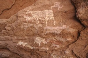 Kalliotaide, esihistoria: Kalliomaalaus karjaryhmästä koristeellisessa suojissa Uweinatin ylängöllä, Sudanissa (Karkur-Talh tai Karkur Talh). Ajanjakso 8000-3000 vuotta eKr. Valokuvaus tekijältä Unbekannt