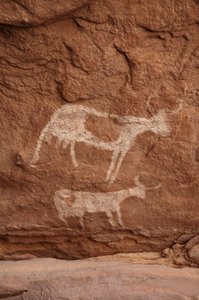Kalliotaide, Esihistoria: Kalliomaalaus kahdesta suurisarvista lehmästä (pitkä sarvi) koristeellisessa suojissa Uweinatin massiivissa, Sudanissa (Karkur-Talh tai Karkur Talh). Ajanjakso 8000-3000 vuotta eKr. Valokuvaus tekijältä Unbekannt