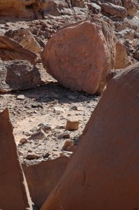 Kalliotaidetta, esihistoriaa: Pyöreä kallio kirahveilla ja strutsikaiverruksella Uweinatin vuoristossa Sudanissa. Ajanjakso 8000-3000 vuotta eKr. Valokuvaus tekijältä Unbekannt