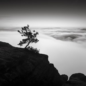 Saksin Sveitsin kuningaskunta, Saksa, 2015 (b/w kuva)