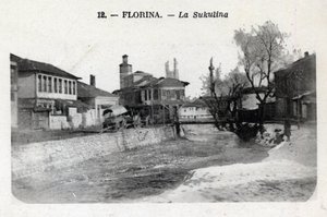 Serbia, Florina (nykypäivän Kreikka): näkymä Sukulinasta - Postikortti 1914-1918 tekijältä William M. Timlin