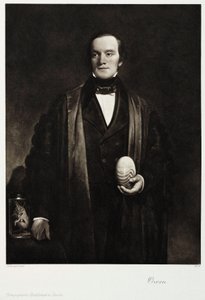 Sir Richard Owen, englantilainen luonnontieteilijä ja paleontologi, n. 1845 tekijältä Unbekannt