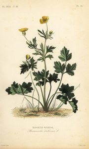 St tekijältä Unbekannt