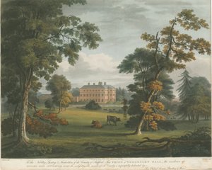 Teddesley Hall: värillinen akvatintakaiverrus, nd [c 1825] tekijältä Unbekannt