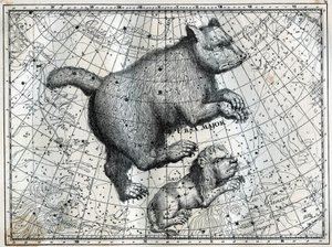 Boreaaliset tähtikuviot: Suuri karhu ja pieni leijona. Kaiverrus Camille Flammarionin teoksesta "The Stars and Other Curiosities of the Sky" tekijältä Unbekannt