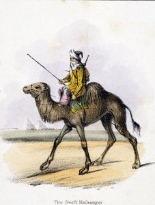 The Swift Messenger, n. 1845 tekijältä Unbekannter Künstler