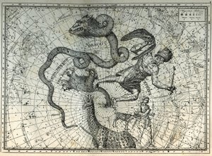Lähistöllä olevat pohjoisnavan tähtikuviot: Pikku karhu, lohikäärme, kefe, kirahvi, poro ja messier. Kaiverrus Camille Flammarionin teoksesta "The Stars and Other Curiosities of the Sky" tekijältä Unbekannt