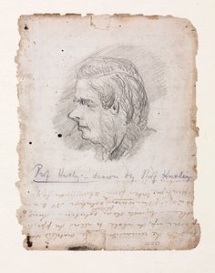 Thomas Henry Huxley, englantilainen biologi, 1800-luvun puoliväli tekijältä Unbekannt