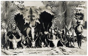 Trophyt, n. 1910 (m/w valokuva) tekijältä Unbekannter Künstler