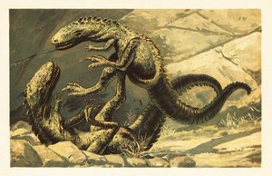 Kaksi taistelevat Dryptosaurus aquilunguis.1908 (litografia) tekijältä Unbekannter Künstler