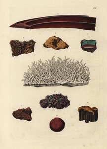 Rautamalmilajikkeet. Käsin väritetty kuparipiirros Georg Wolfgang Knorrin teoksen Deliciae Naturae Selectae of Kabinet van Zeldzaamheden der Natuur, Blusse and Son, Nürnberg, kuvituksen mukaan. tekijältä Unbekannter Künstler