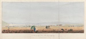Näkymä Kapkaupunkiin, Pöytälahteen ja Tygerbergin kukkuloille (Etelä-Afrikka). J.W. Burchellin litografia (26,5x53,5 cm). tekijältä Unbekannter Künstler