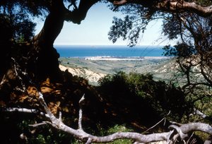 Näkymä Välimerelle, Kabylia, Algeria tekijältä Unbekannter Künstler