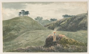 Walton-on-the-Hill - Cannock Chase: vesivärimaalausta ja [?1800-luku] tekijältä Unbekannt