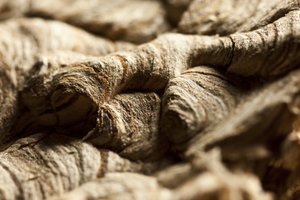 Wasp Nest II (valokuva) tekijältä Unbekannter Künstler