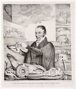 William Buckland, geologi tekijältä Unbekannt